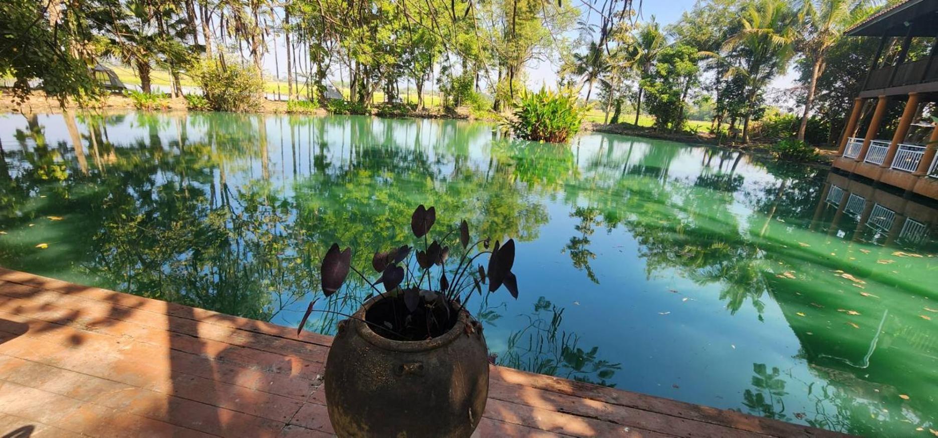 Tung Tong Homestay & Camping Merim Kültér fotó