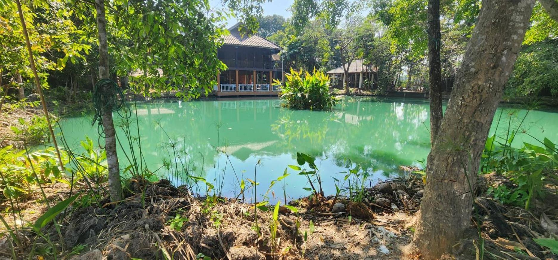 Tung Tong Homestay & Camping Merim Kültér fotó