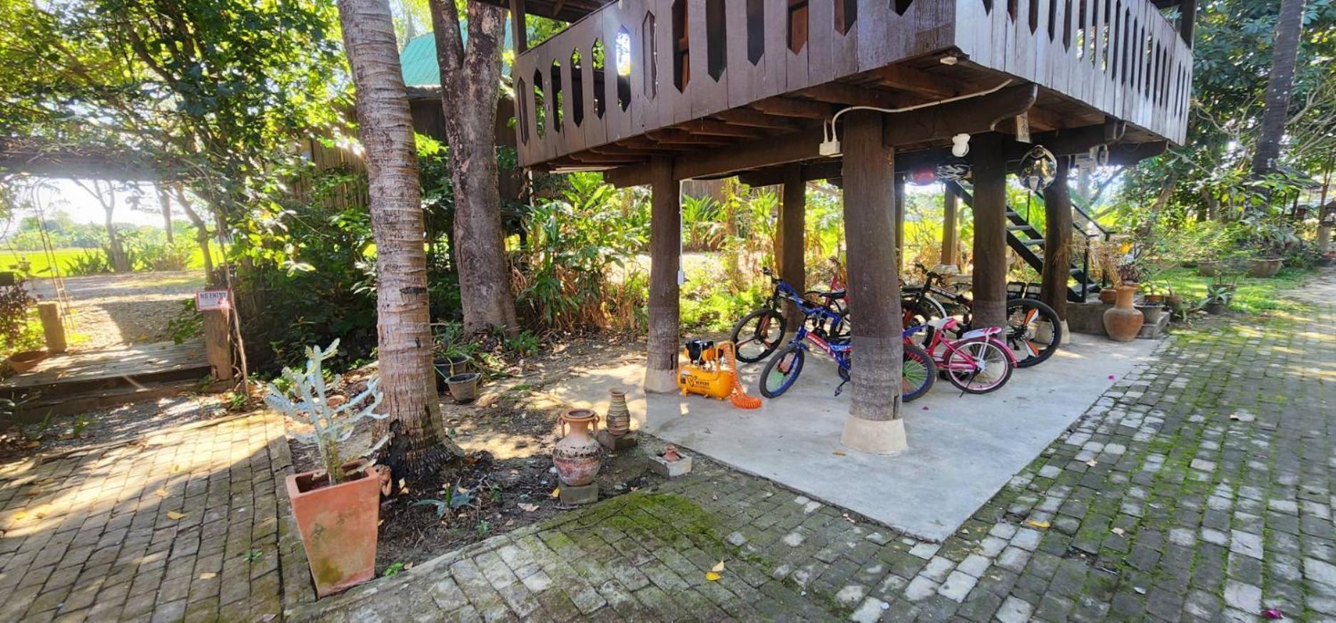 Tung Tong Homestay & Camping Merim Kültér fotó