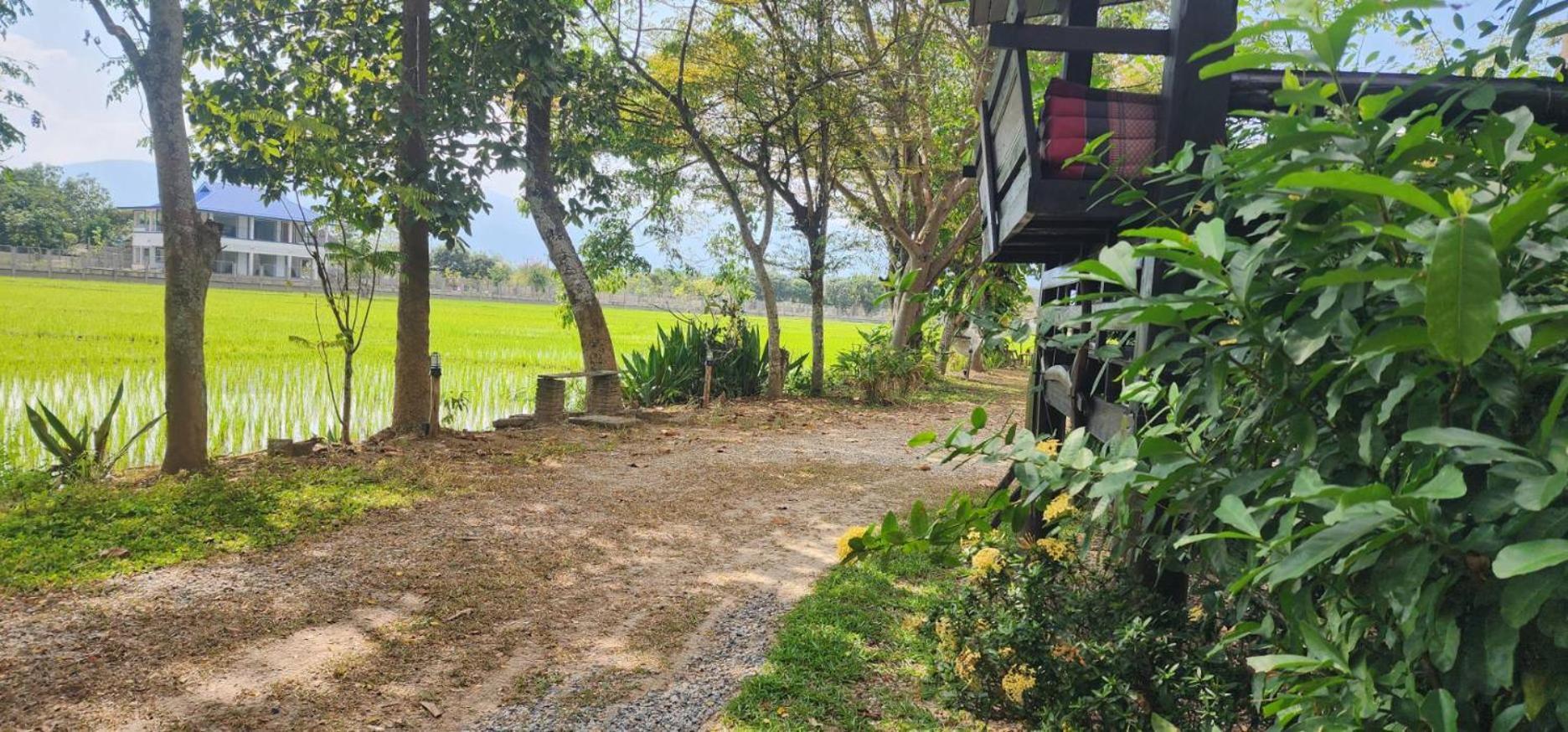 Tung Tong Homestay & Camping Merim Kültér fotó