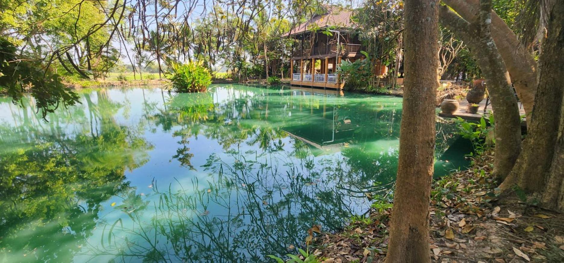 Tung Tong Homestay & Camping Merim Kültér fotó
