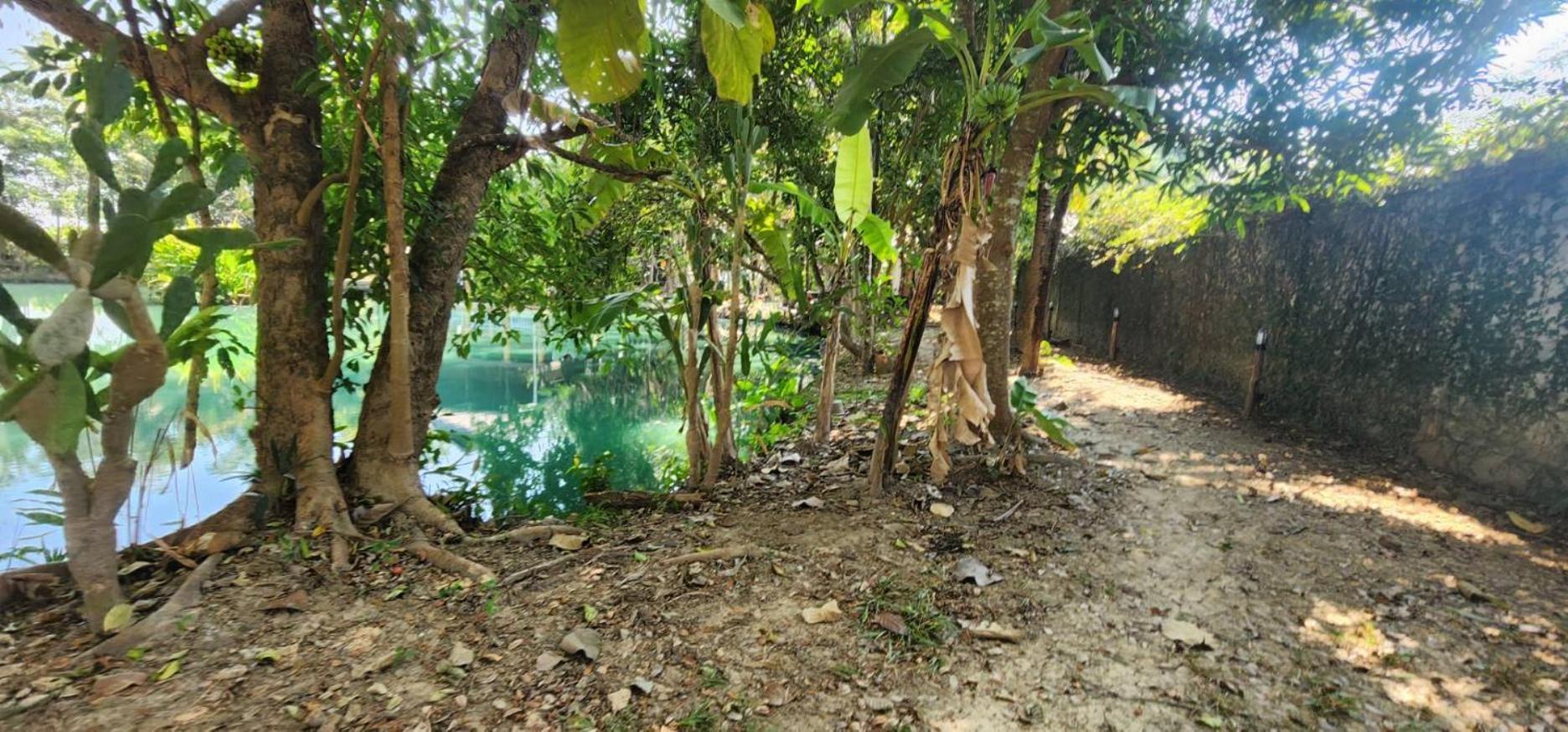 Tung Tong Homestay & Camping Merim Kültér fotó