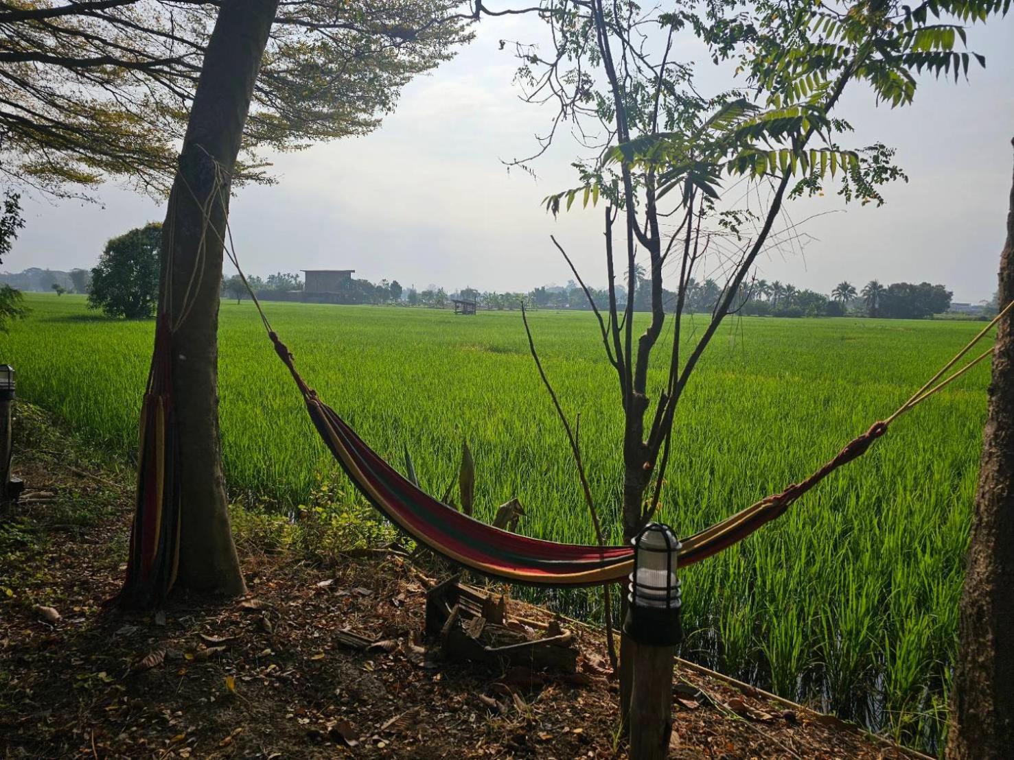 Tung Tong Homestay & Camping Merim Kültér fotó