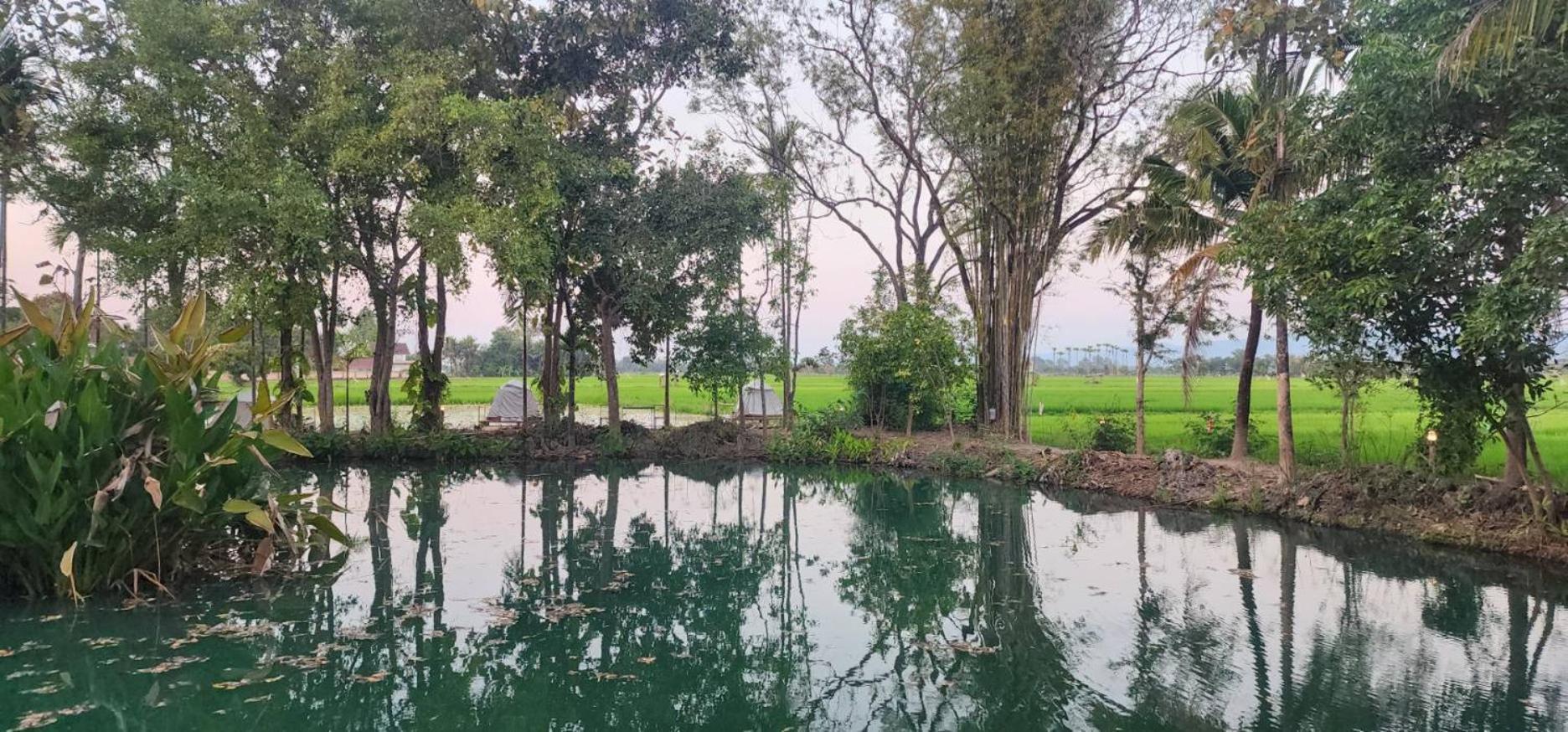 Tung Tong Homestay & Camping Merim Kültér fotó