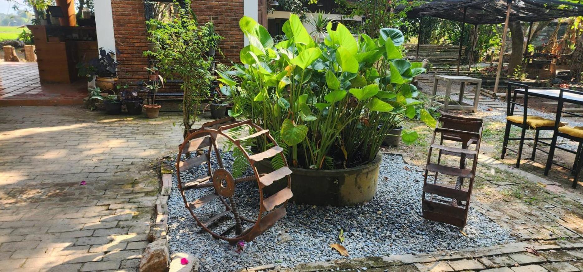 Tung Tong Homestay & Camping Merim Kültér fotó