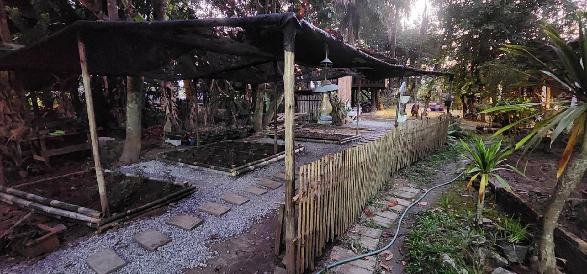 Tung Tong Homestay & Camping Merim Kültér fotó