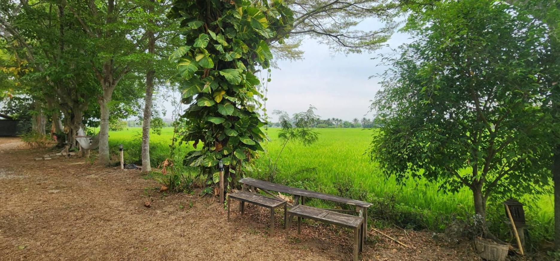 Tung Tong Homestay & Camping Merim Kültér fotó