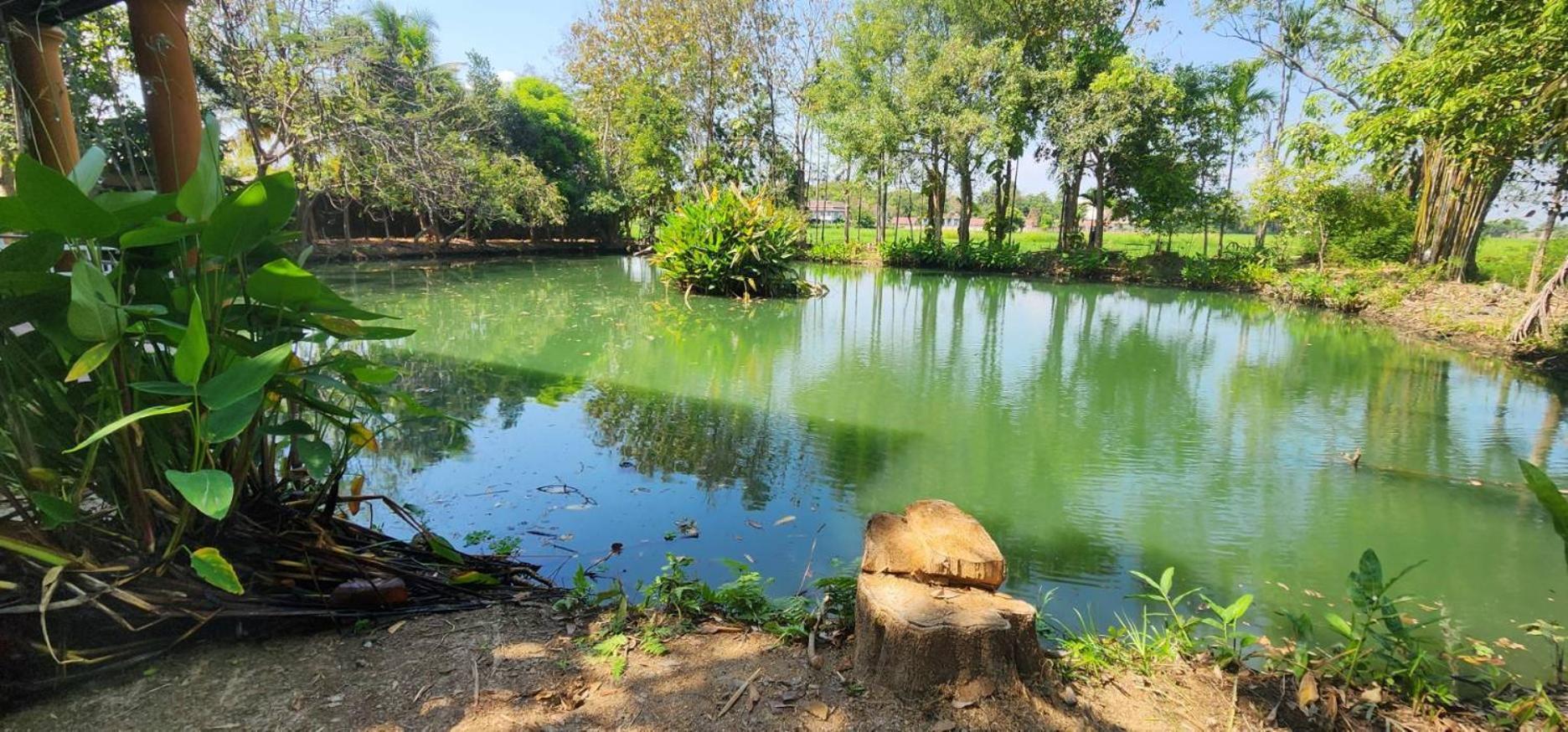 Tung Tong Homestay & Camping Merim Kültér fotó