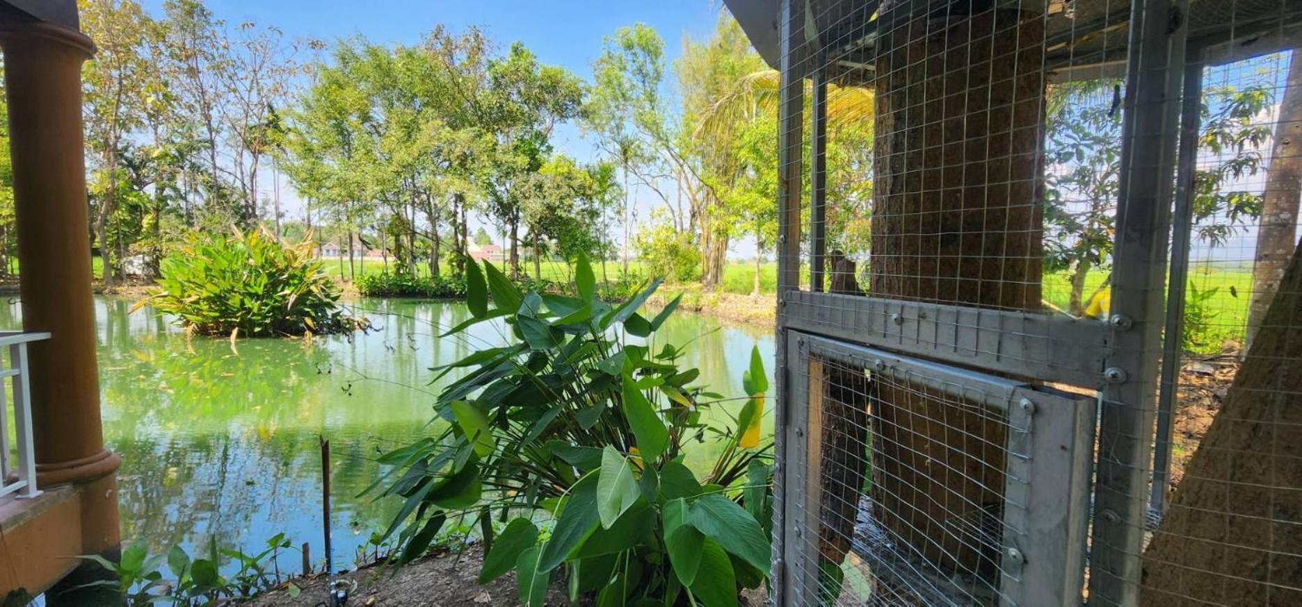 Tung Tong Homestay & Camping Merim Kültér fotó